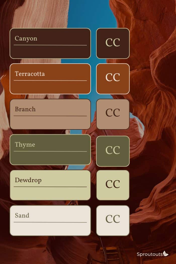 Canyon Valley - Brand Palette Guide